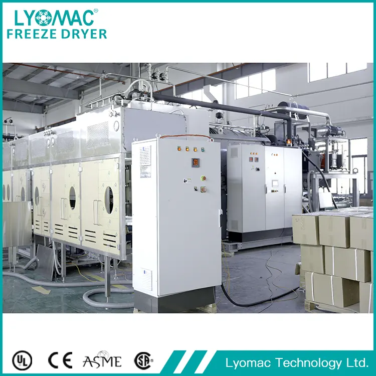 カスタマイズの再定義: Lyomac が医薬品製造特有の課題をどのように解決するか