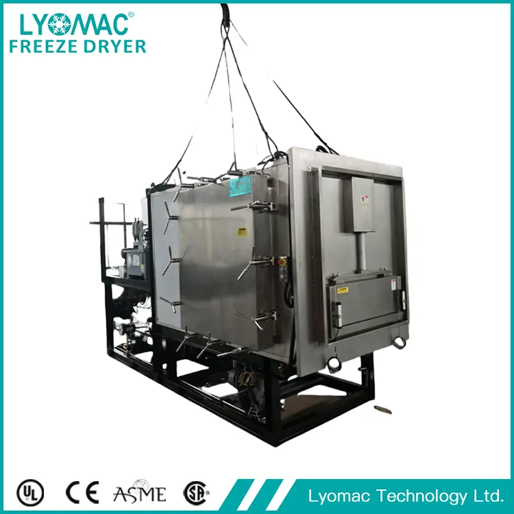 Lyomac のオプション システム: 凍結乾燥を機能的なものから優れたものに高める