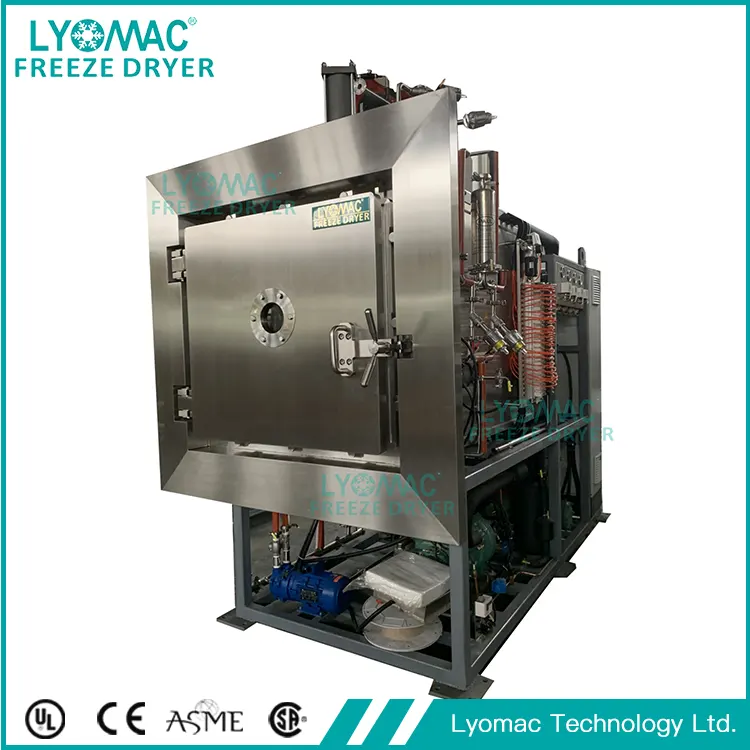 ケーススタディ — LYOMAC リオプロラインを使用して東南アジアでプロバイオティクス生産を拡大