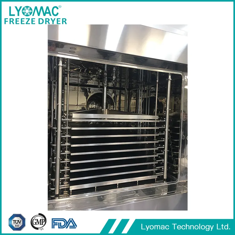 freeze drying