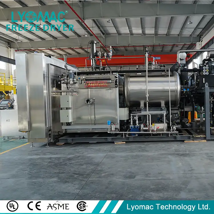 LYOMAC freeze dryer for rabies vaccine pharmaceutical lyophilization